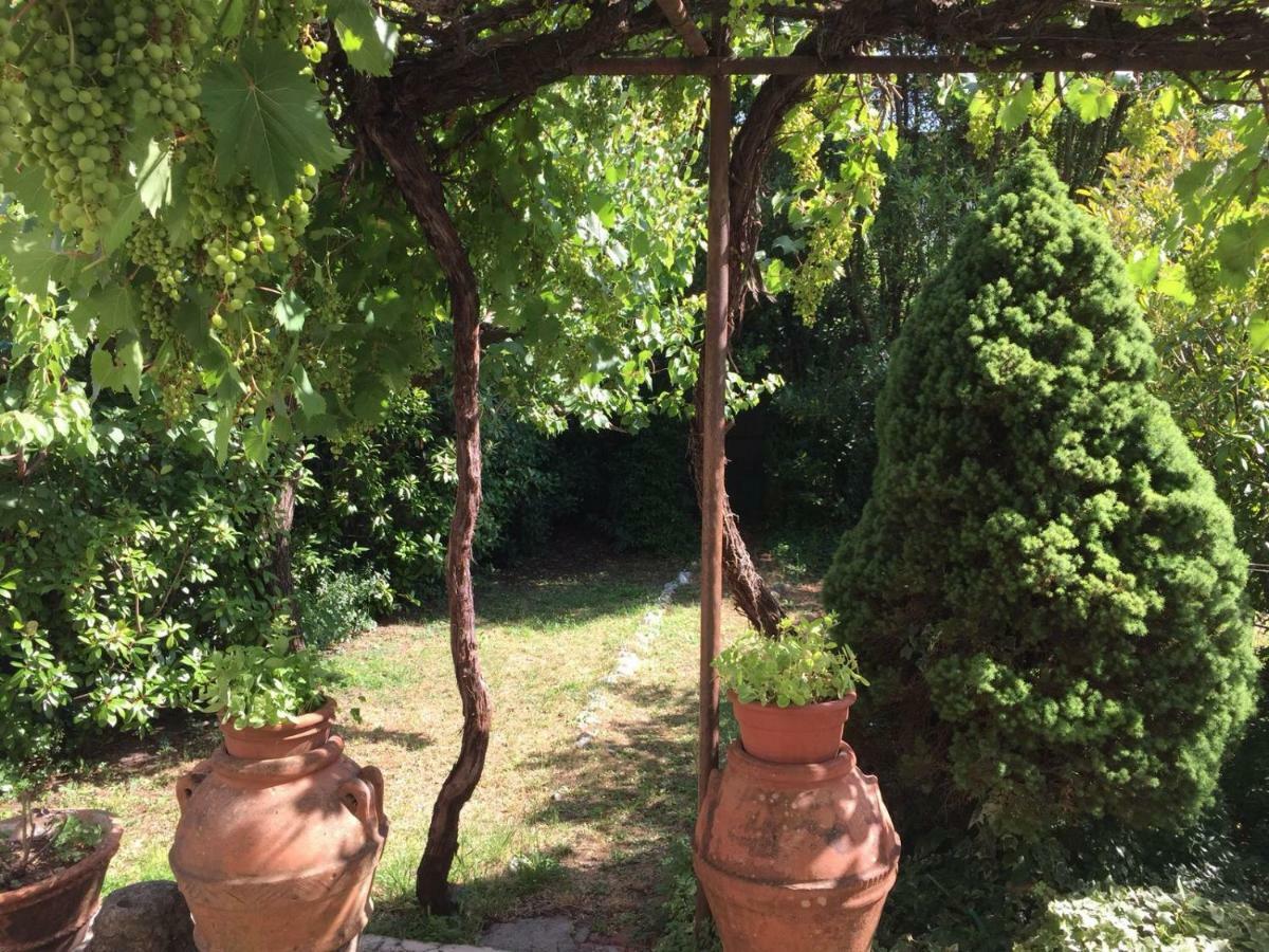 Giuseppe Giovannetti 50 Villa Lucca Bagian luar foto